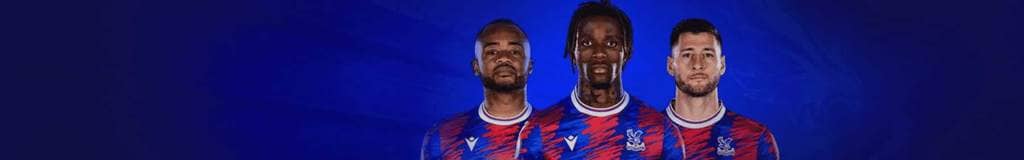 sudoku watermelon game
